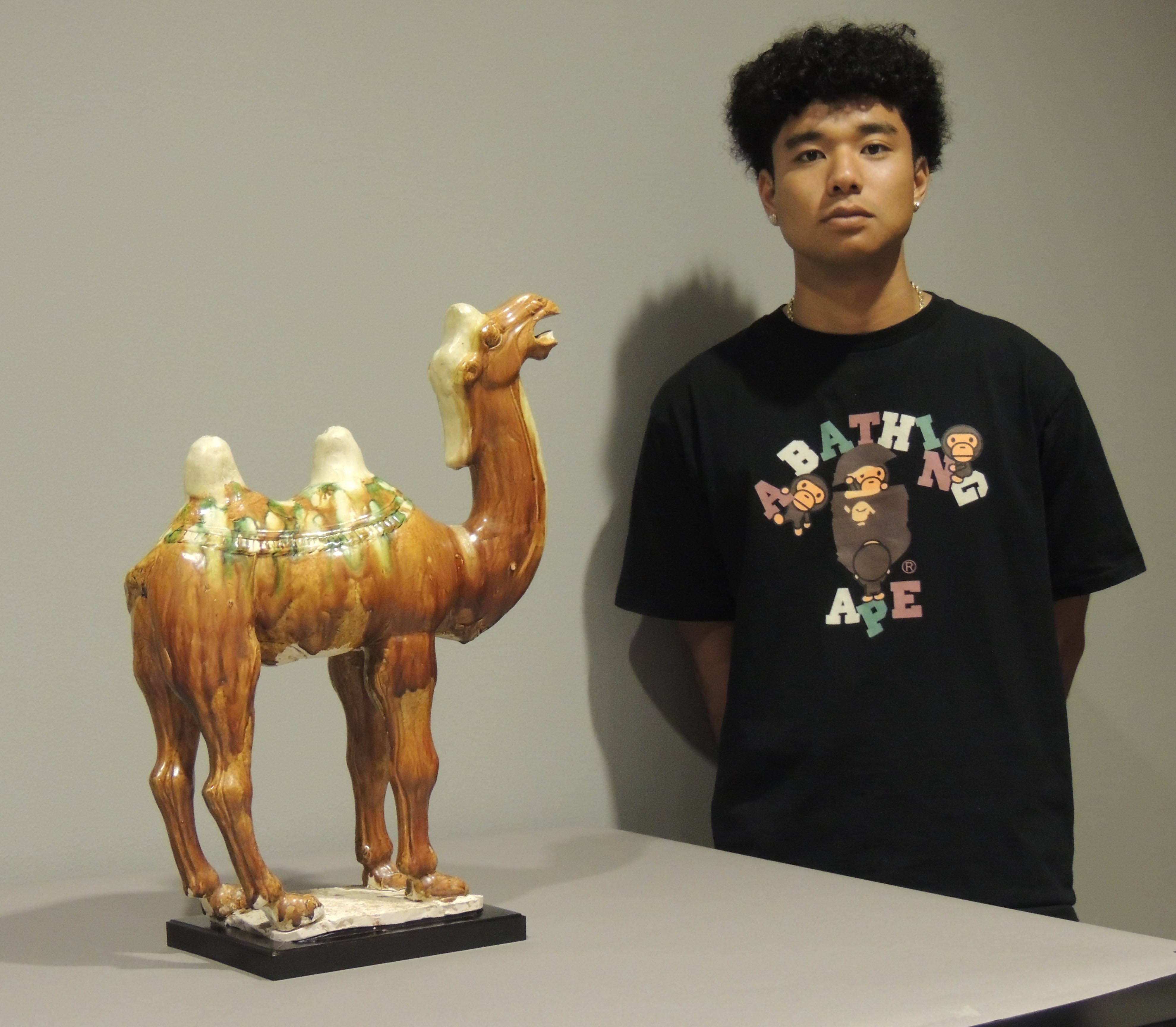 Seiya McConney - Camel | Jordan Schnitzer Museum of Art
